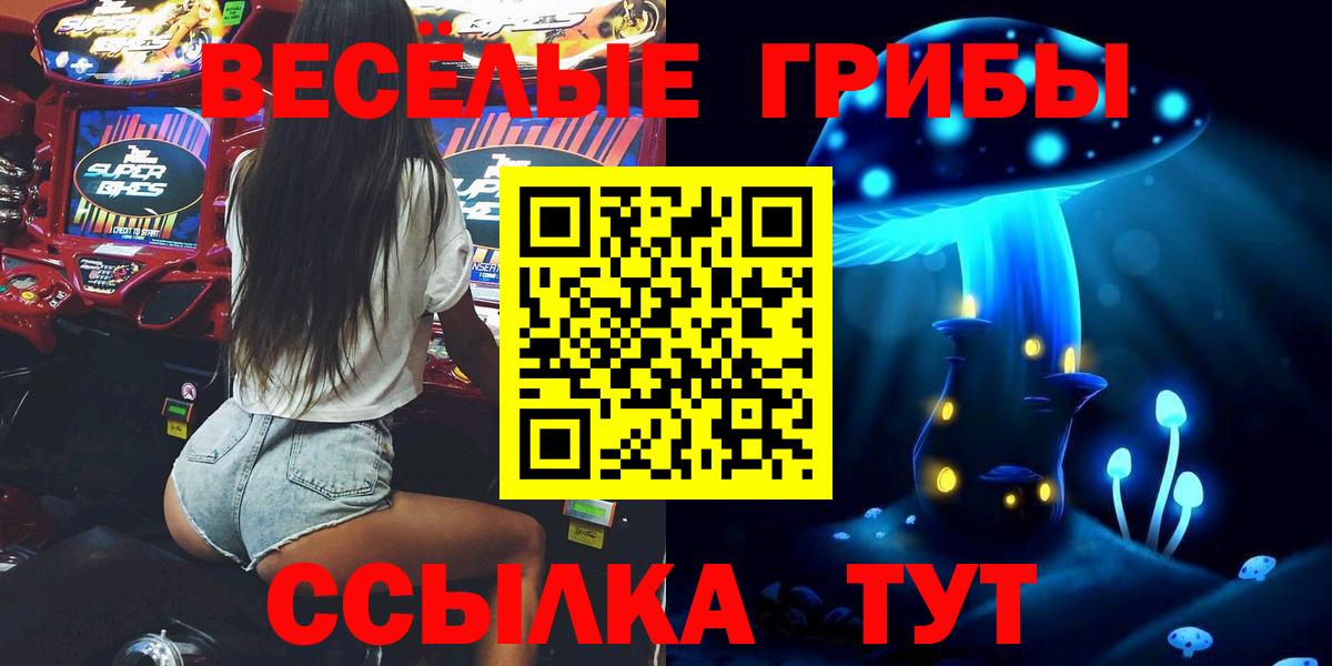 Янаул  Галлюциногенные грибы Psilocybine cubensis  Вход с VPN 